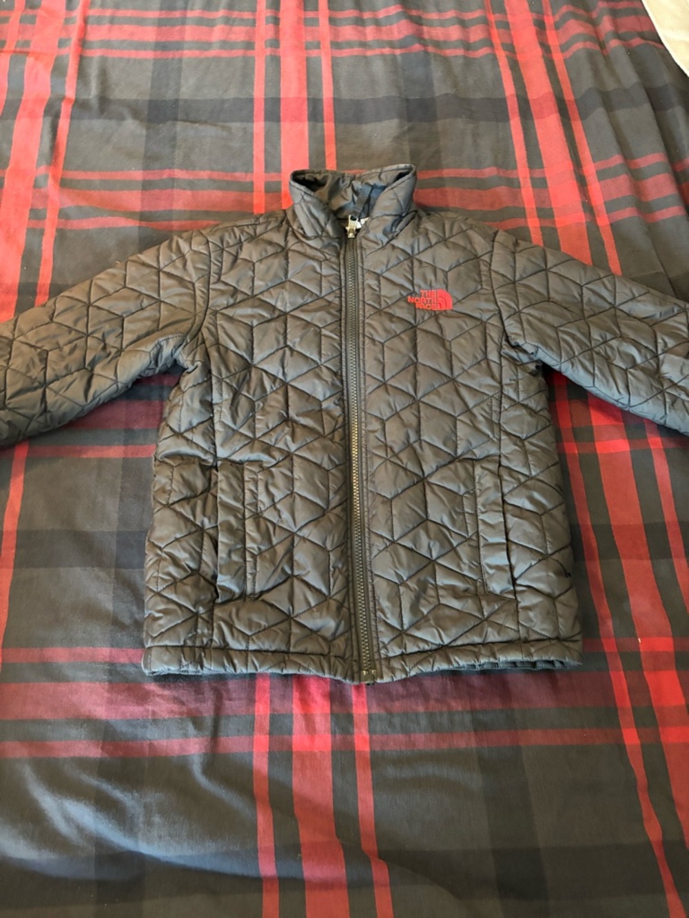 The North Face Kids Black Quilted Puffer Jacket with Red Logo